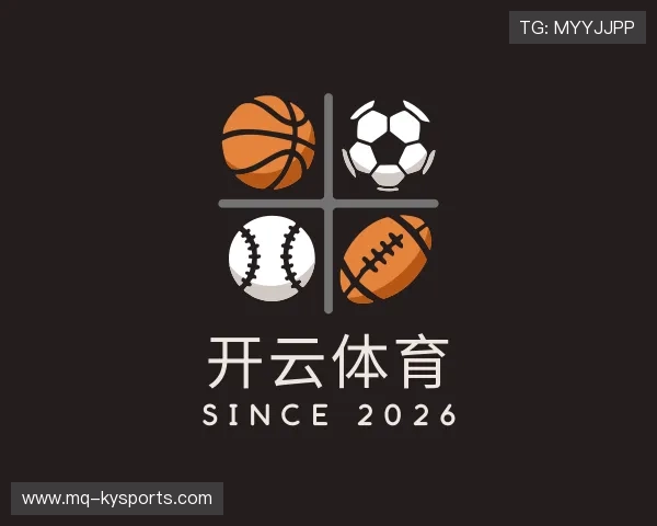 关于开云体育下载